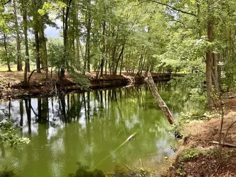 tbd Mack Rd, Conway, SC 29526 photo 13