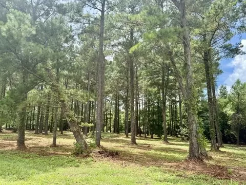 tbd Mack Rd, Conway, SC 29526 photo 9
