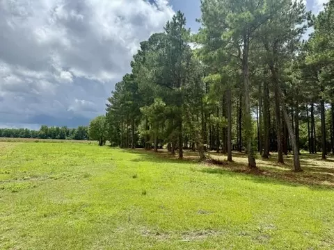tbd Mack Rd, Conway, SC 29526 photo 4