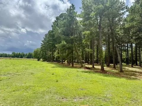 tbd Mack Rd, Conway, SC 29526 photo 5