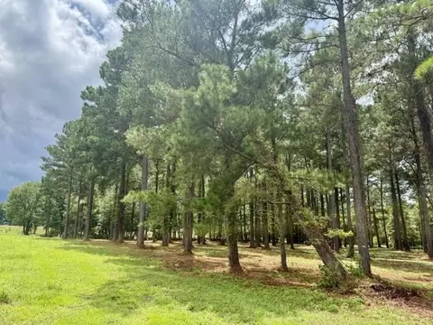 tbd Mack Rd, Conway, SC 29526 photo 10
