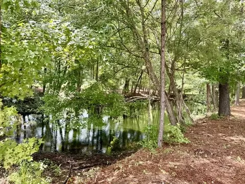 tbd Mack Rd, Conway, SC 29526 photo 12