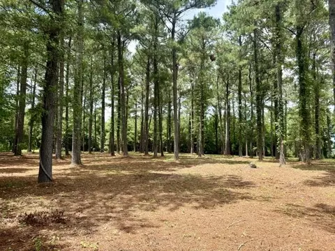 tbd Mack Rd, Conway, SC 29526 photo 11