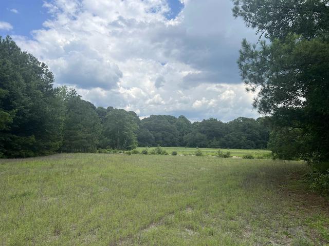 tbd Faulk Rd, Conway, SC 29527