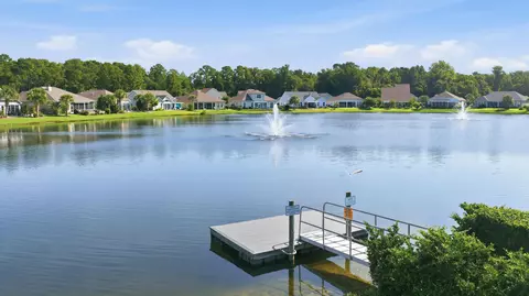 View/Area - 242 Hyacinth Loop, Murrells Inlet, SC 29576 photo 2 of 5