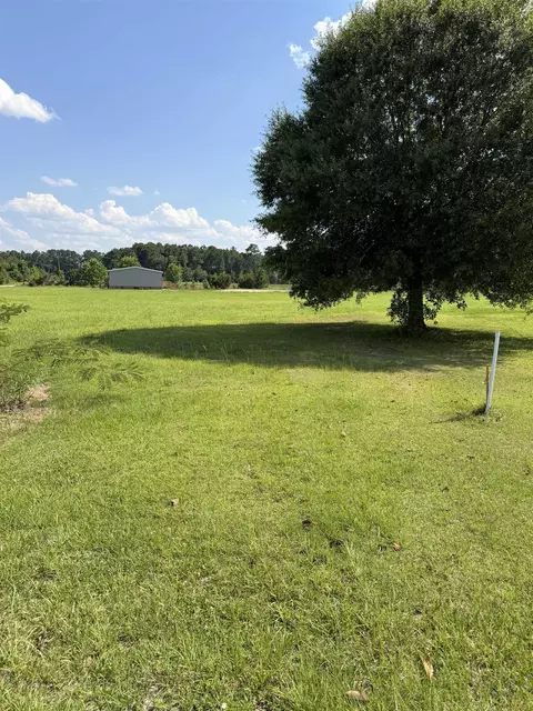 tbd Strickland Rd, Green Sea, SC 29545