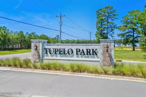 Other - 761 El Pepino Loop, Longs, SC 29568 photo 11 of 11