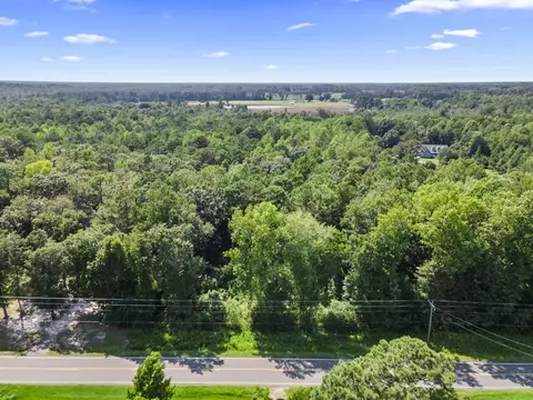 Cane Branch Rd., Loris, SC 29569 photo 4