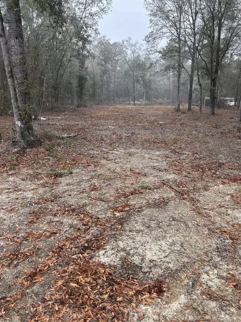 tbd Pleasantdale Rd, Nichols, SC 29581