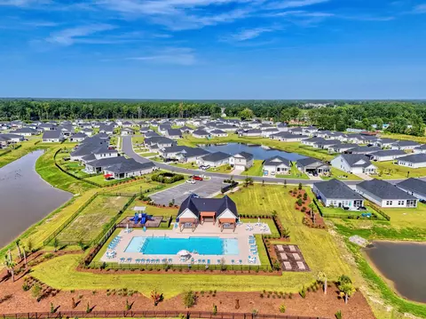 View/Area - 1113 Lauryn Oak Loop, Longs, SC 29568 photo 7 of 9