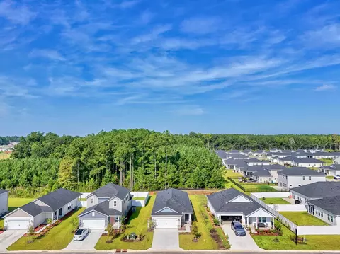 View/Area - 1113 Lauryn Oak Loop, Longs, SC 29568 photo 1 of 9