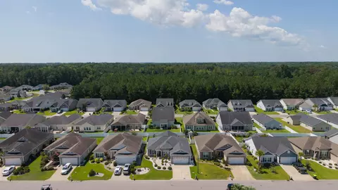 View/Area - 1921 Pine Cone Ln, Longs, SC 29568 photo 2 of 13
