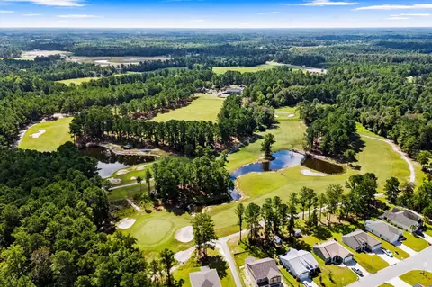 View/Area - 800 Stone Pine Ct, Loris, SC 29569 photo 22 of 25