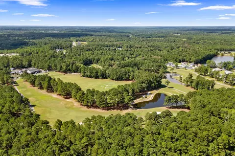 View/Area - 800 Stone Pine Ct, Loris, SC 29569 photo 19 of 25