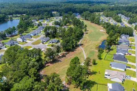 View/Area - 800 Stone Pine Ct, Loris, SC 29569 photo 12 of 25