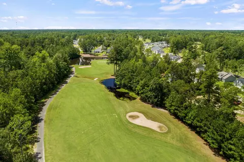 View/Area - 800 Stone Pine Ct, Loris, SC 29569 photo 21 of 25