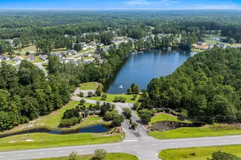 View/Area - 800 Stone Pine Ct, Loris, SC 29569 photo 25 of 25