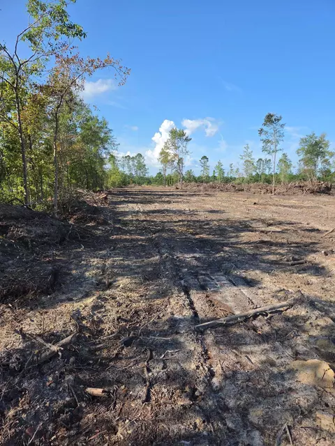 2850 Gause Rd, Loris, SC 29569