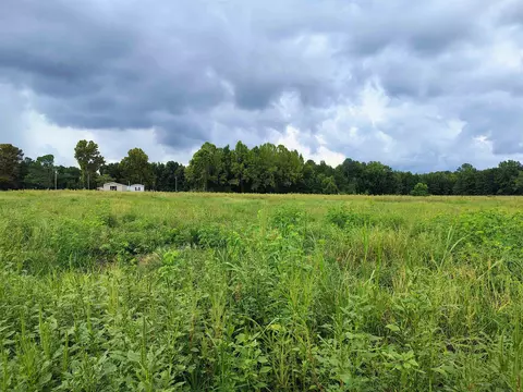 tbd N Old Georgetown Rd, Scranton, SC 29591 photo 6