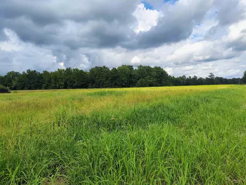 tbd N Old Georgetown Rd, Scranton, SC 29591 photo 7