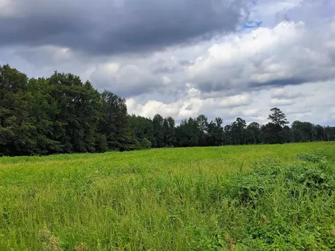 tbd N Old Georgetown Rd, Scranton, SC 29591 photo 12