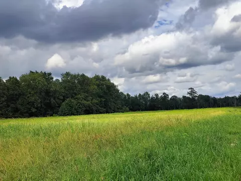 tbd N Old Georgetown Rd, Scranton, SC 29591 photo 13