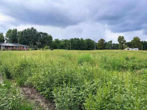 tbd N Old Georgetown Rd, Scranton, SC 29591 photo 10