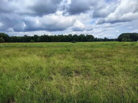 tbd N Old Georgetown Rd, Scranton, SC 29591 photo 5