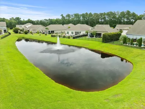View/Area - 165 Bucky Loop, Murrells Inlet, SC 29576 photo 5 of 8
