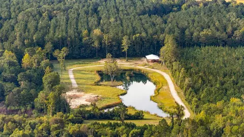 tbd Bratcher Rd, Conway, SC 29526 photo 2