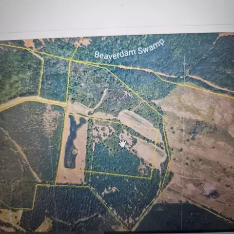tbd Bratcher Rd, Conway, SC 29526 photo 3