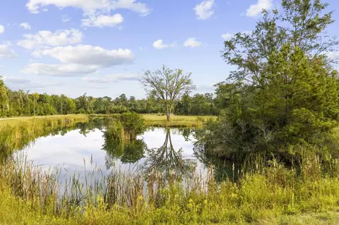tbd Bratcher Rd, Conway, SC 29526 photo 5