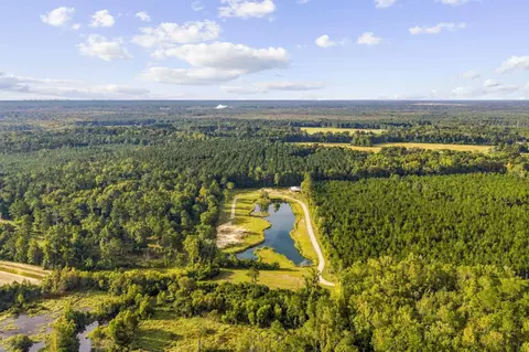 tbd Bratcher Rd, Conway, SC 29526 photo 15