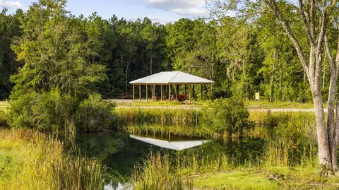 tbd Bratcher Rd, Conway, SC 29526 photo 8