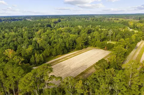 tbd Bratcher Rd, Conway, SC 29526 photo 13
