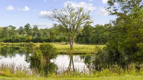 tbd Bratcher Rd, Conway, SC 29526 photo 6