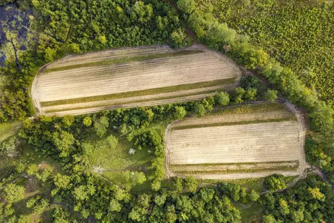 tbd Bratcher Rd, Conway, SC 29526 photo 11