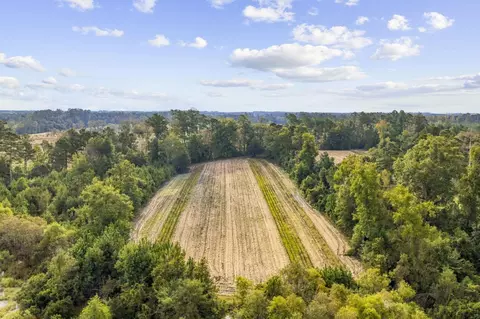 tbd Bratcher Rd, Conway, SC 29526 photo 12