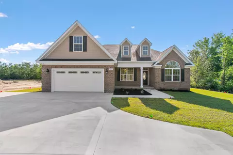 tbd Dog Bluff Rd, Galivants Ferry, SC 29544