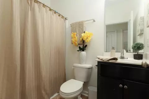 Bath - 112 Palm Terrace Loop, Conway, SC 29526 photo 3 of 3