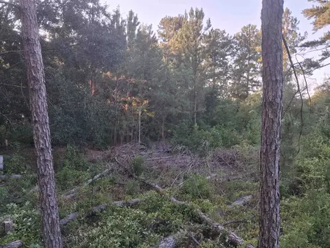 lot12 D Mcgregor Cir, Lake City, SC 29560