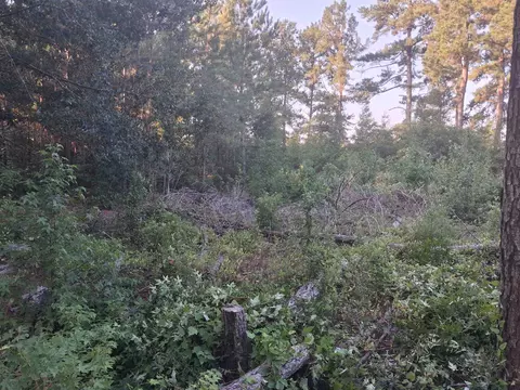lot11 D Mcgregor Cir, Lake City, SC 29560