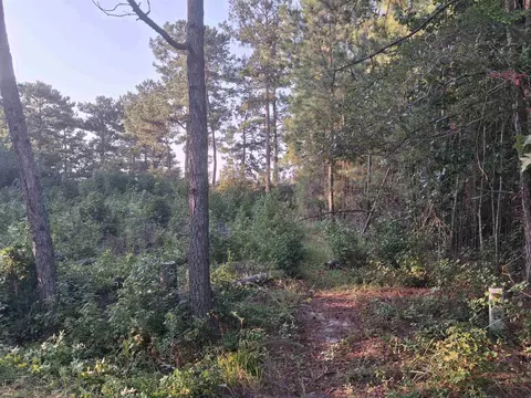 lot10 D Mcgregor Cir, Lake City, SC 29560