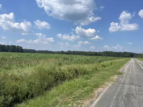J. Ben Rogers Rd, Bennettsville, SC 29512