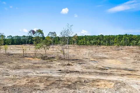 2850 Gause Rd, Loris, SC 29569 photo 22