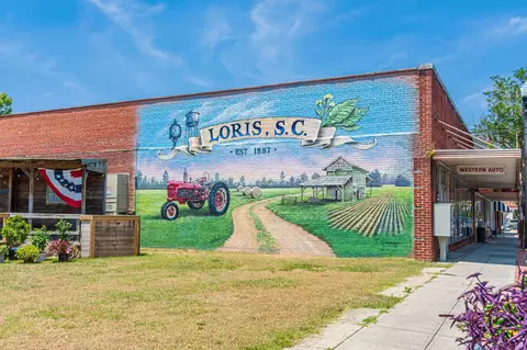 2850 Gause Rd, Loris, SC 29569 photo 24
