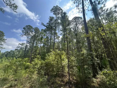 185 Legion St, Dillon, SC 29536 photo 8