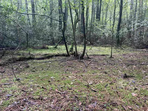 185 Legion St, Dillon, SC 29536 photo 11