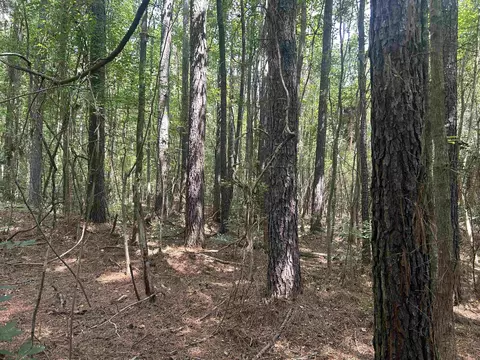 185 Legion St, Dillon, SC 29536 photo 23