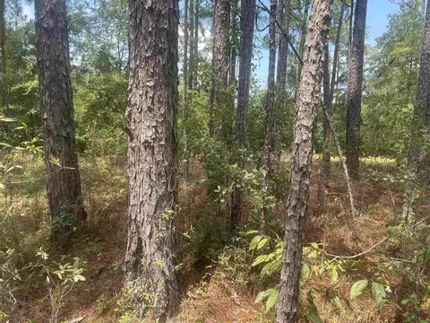 185 Legion St, Dillon, SC 29536 photo 27